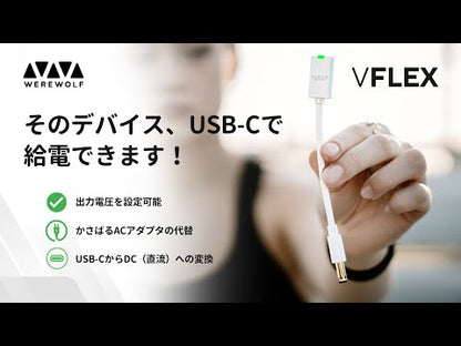 VFLEX 本体